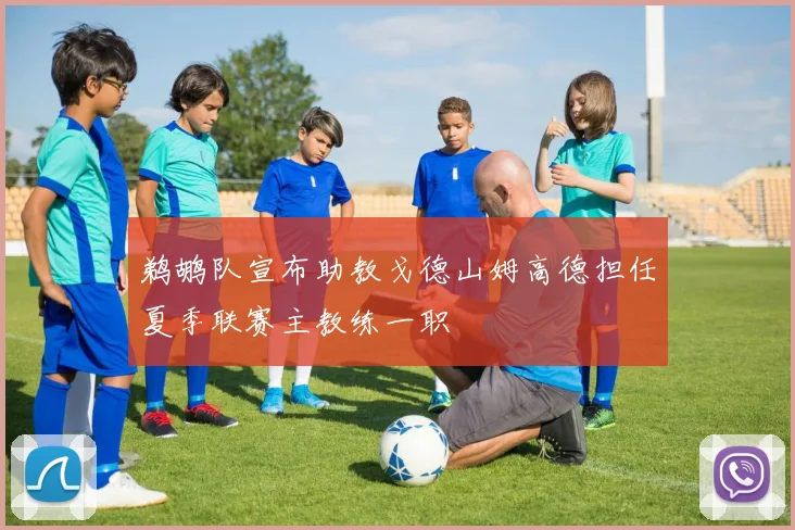 鹈鹕队宣布助教戈德山姆高德担任夏季联赛主教练一职